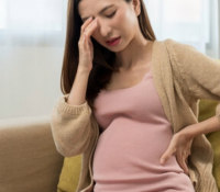 Stress in der Frühschwangerschaft wirkt sich auf die Nachkommen bis ins Erwachsenenalter aus